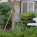 진영종합인성교육관 이미지