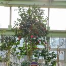 도립화목원 이미지