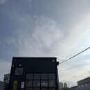 강서구-1 | 부산 강서구 녹만장 후기｜애견동반 가능한 실내카페 추천