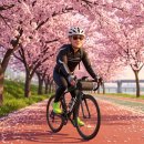 한강 자전거도로8 | “한강 자전거, 아무 코스나 타면 후회합니다” 👉 초보부터 상급자까지 코스별 현실 후기 총정리