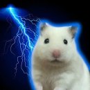 안경나래 | [투데이라섹] 노원 ㅍㅅㅌㅅㅁ 투데이라섹 후기! (내돈내산)