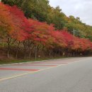 침산로22길 이미지