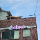 전라도 삼합 | [전남 장흥 맛집] 전라도 장흥 낙지삼합 전문점 신가네 후기