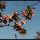 느림의 미학 552 아차산의 재채기(알레르기allergy) 이미지