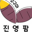 진영팜 이미지
