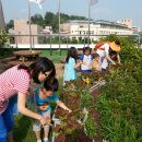 마장국민체육센터 이미지