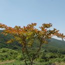 송왕농장 이미지