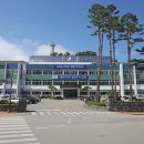 중앙동183 이미지