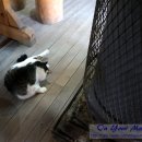 선각당 이미지