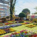 서귀포초등학교 병설유치원 이미지