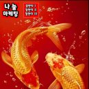 구로-현장-구로-577 이미지