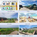 토마스농장 이미지