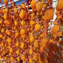 성지골 농장 이미지