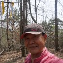 곡성-219 이미지