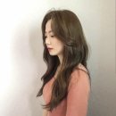 로슬린헤어 이미지