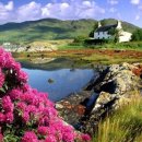 초원컴퓨터 이미지