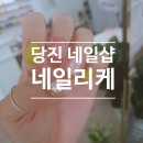 네일리케