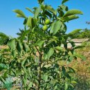 부여농약마트 이미지