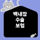 수보장 이미지