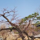 이정성 | <화첩기행> 순창편 비하인드이야기