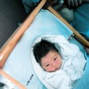 장금이 Daum카페