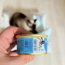 캔두코리아 | 고양이 참치캔 음수량 up 쉐지애 주식캔 브로스 습식사료 추천