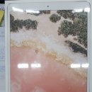 iPadPro 이미지