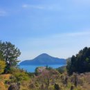 다대농장 이미지