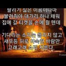 공치는날 이미지