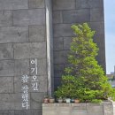 오션풀빌라 오션동 | 경주 오션뷰 풀빌라 바다를 보며 쉴 수 있어서 마음이 편해지는 공간이었어요