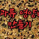 소소한스포츠 이미지