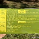 녹차원 본사 이미지