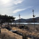 탄금호 야영장 이미지