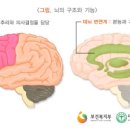 21세기한일병원 이미지