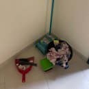 [두바이 일상] 25년 1월 일상 - 새 시작, 새 출발