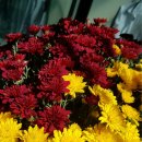 다복행정사사무소 이미지