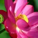 대우목장 1 이미지