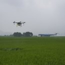 곡성-255 이미지