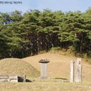 21세기미 | 안동 권權씨