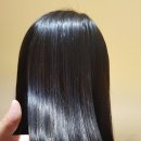 스펠라 헤어 메디컬 이미지