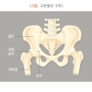 이지짐(EZGYM) 네이버블로그