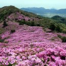 망구 비