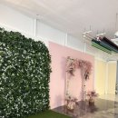 마니랑 빌딩 | 애니스튜디오 부산연제점 만삭 후기(조리원연계아님, 내돈내산)