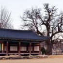 부여(홍산)-10 이미지