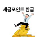 18포인트 | 세금포인트 환급 : 나도 모르게 쌓인 혜택, 정말 받을 수 있을까?