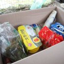 자인민박 이미지