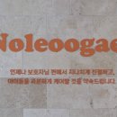 놀러오개 애견유치원 애견호텔 전주점 이미지