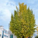 세븐일레븐종로창성점 이미지