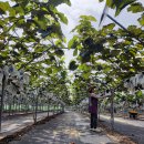 방산농장 이미지