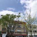 비응항오산상회 | 4.30~5.2 황금연휴 :: 2박3일 군산여행 후기 / 지린성 이성당 선유도 오죽 :: 타짜 히로스가옥